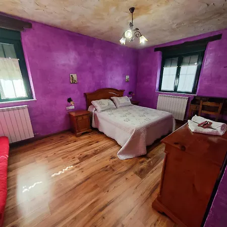 Casa Flor