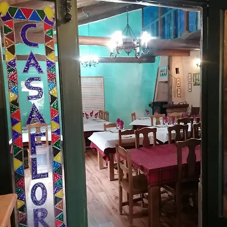 Casa Flor